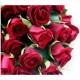 Red Rose Bunch (OFB-020)