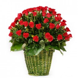 100 Roses basket 1(OFA-023)