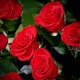 100 Roses basket 1(OFA-023)