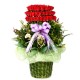 100 Roses basket 2(OFA-024)