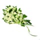 White rose Bouquet (onv-064)