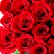 100 Roses basket 2(OFA-024)