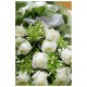 White Rose Box 1 (OFC-004)