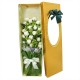 White Rose Box 1 (OFC-004)