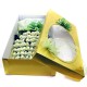 100 White Roses Boxed Bouquet(OFC-016)