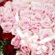 100 Roses Boxed in Double Heart Bouquet 2(ofp-052)