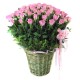 100 Pink Roses basket (OFA-043)