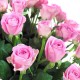 100 Pink Roses basket (OFA-043)