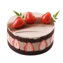 Strawberry Choco Frezier Cake(2302044)