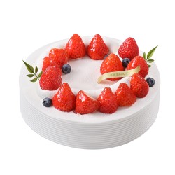 Strawberry Choco Frezier Cake(2302044)