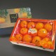Jeju Red-Hyang 3kg gift set(2401103)