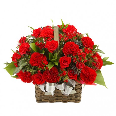 Red carnation basket (16041705)