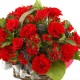 Red carnation basket (16041705)