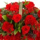 Red carnation basket (16041705)