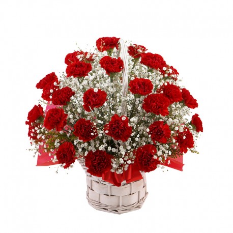 Dad's youthful (16041704)