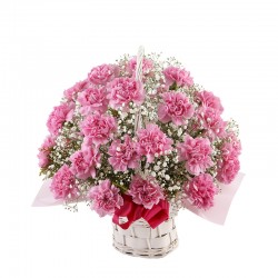 The Sea of Mom (16041703)